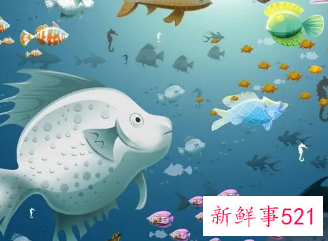 梦到好多鱼是什么征兆