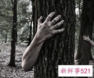 梦见被人跟踪有什么征兆