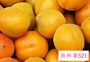 水果杏的功效与作用