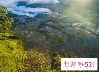 哀牢山为什么神秘