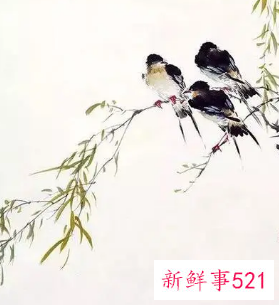 挂花鸟画的禁忌