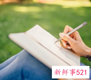 项目概述怎么写的