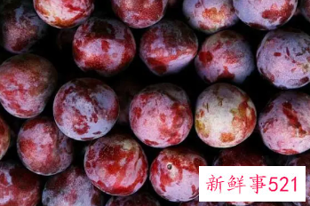 吃太多李子会怎么样