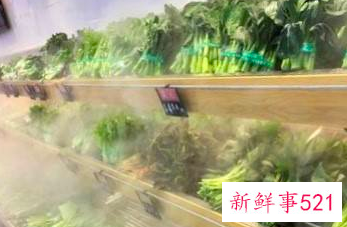 超市蔬菜9种保鲜方法