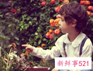 时光静好陪你长大唯美句子