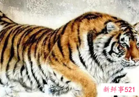 属虎2022年下半年运势