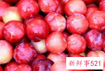 吃太多李子会怎么样