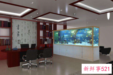 鱼缸究竟摆在哪能旺财