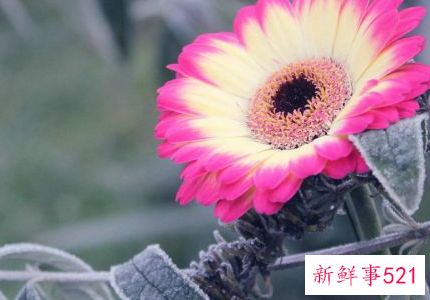 很有意义的昵称