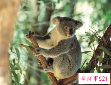 简述各种行为类型及表现