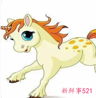 女属马的佩戴什么