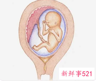 7个月的胎儿会出现什么情况