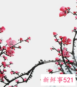 挂花鸟画的禁忌