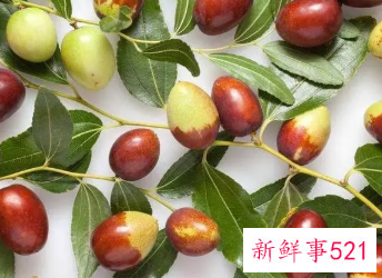 北枣的功效与作用及禁忌