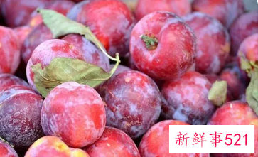 吃太多李子会怎么样