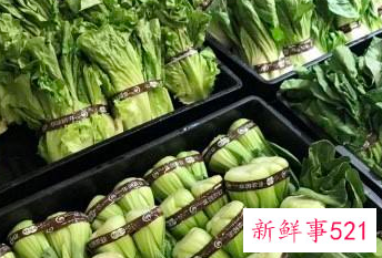 超市蔬菜9种保鲜方法