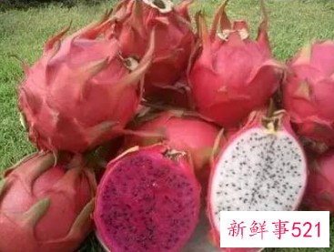 水果降火排行榜