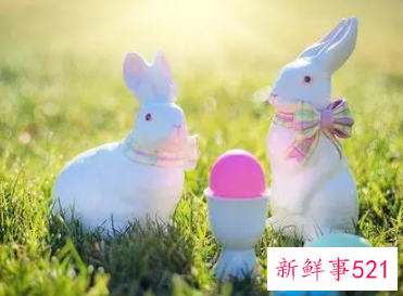 半夜子时的属兔女好吗