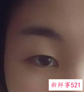 单眼皮的所有眼型图
