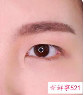 单眼皮的所有眼型图