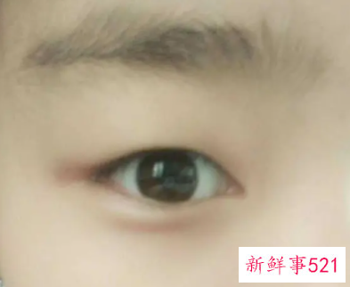 单眼皮的所有眼型图