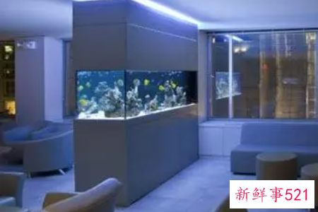 鱼缸究竟摆在哪能旺财