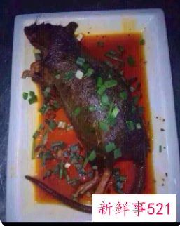 梦见老鼠在菜里