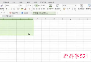 在表格里怎么随意调整格式