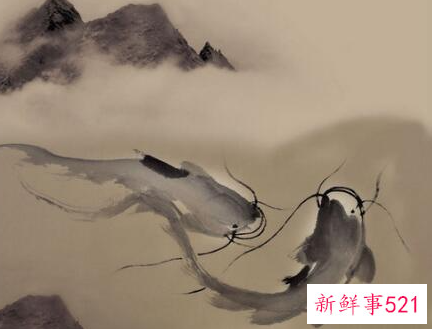 什么是鲇鱼效应