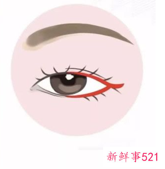 单眼皮的所有眼型图