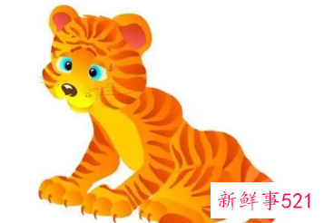 属虎取什么名字旺财运