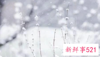 下雪天安全温馨提示语