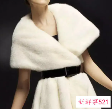 皮草为什么不能水洗