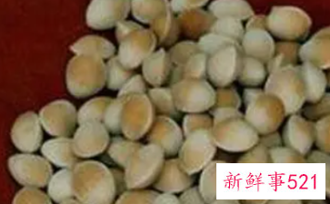 睾丸怎么补才能提高性功能吃什么中药处方