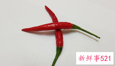 辣椒什么时候进入中国