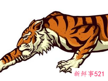 属虎的天蝎名人