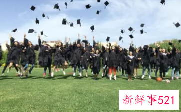 毕业生推荐表照片什么底色