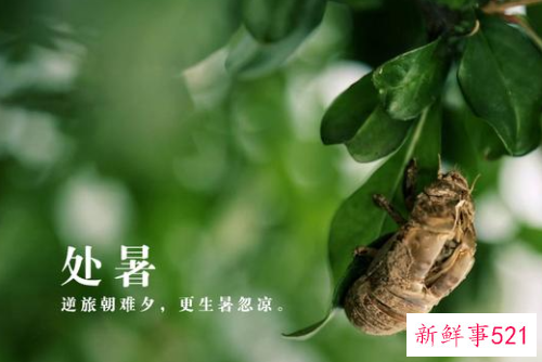 处暑诗词有哪些