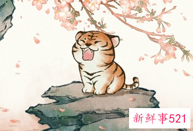 属虎宝宝和属什么的父母最配