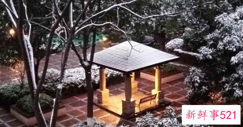 为什么下雪不冷化雪冷