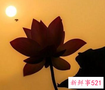 夫妻不和的因果报应