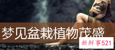 梦见家里多很多盆栽