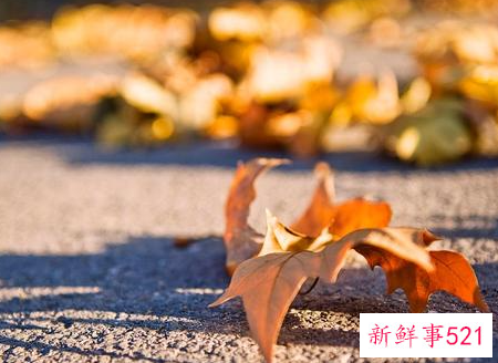 女人过了情关的表现