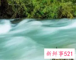 五行属木水最旺的名字