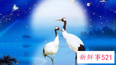 梦见裸体女尸是什么意思