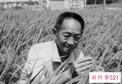 袁隆平生前常去理发店关门半年