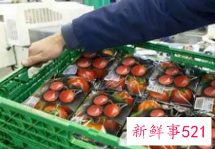 办厂创业好项目