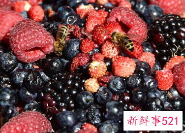 桑葚泡酒功效与作用