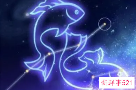 最难追求到手的星座女