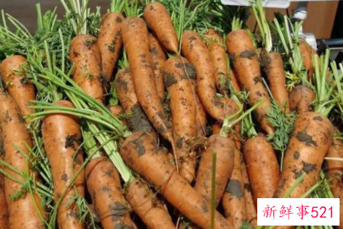 梦见胡萝卜的意思